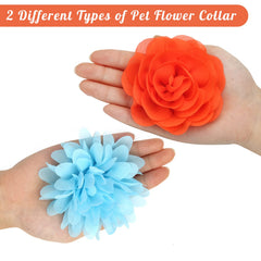Catcan accesorio de flor para collar, fácil de colocar