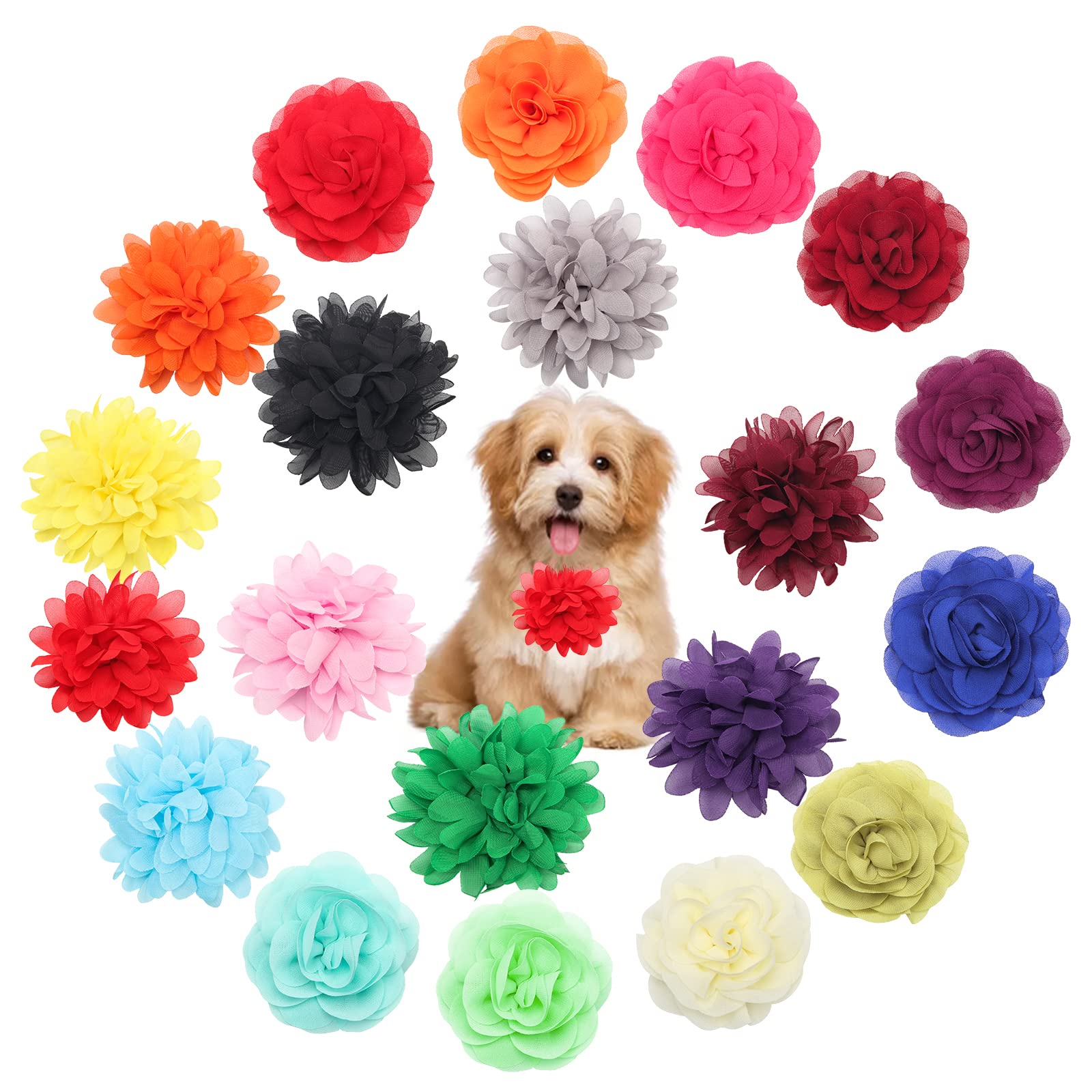 Catcan collar flor perro 10 cm, color brillante para una apariencia encantadora