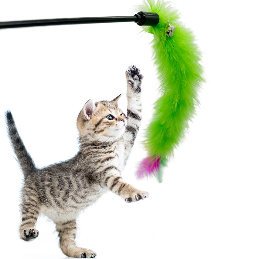 CATENEED juego interactivo para gatos en interiores con varitas de plumas coloridas.
