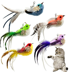 CATENEED repuestos de plumas para juguete de gato, ideal para juego en interiores.
