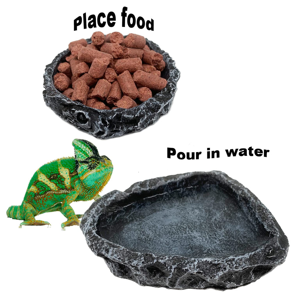CATENESS bol eau reptile coin terrarium, hydratation pratique au quotidien