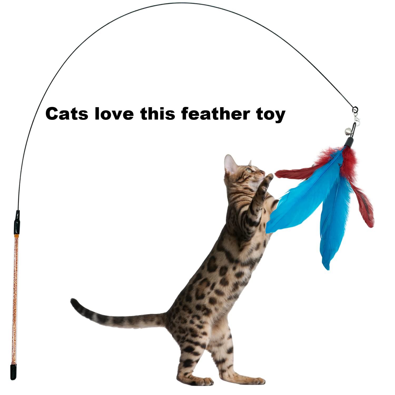 CATENESS fomenta interacción entre dueño y felino con juguetes de plumas.