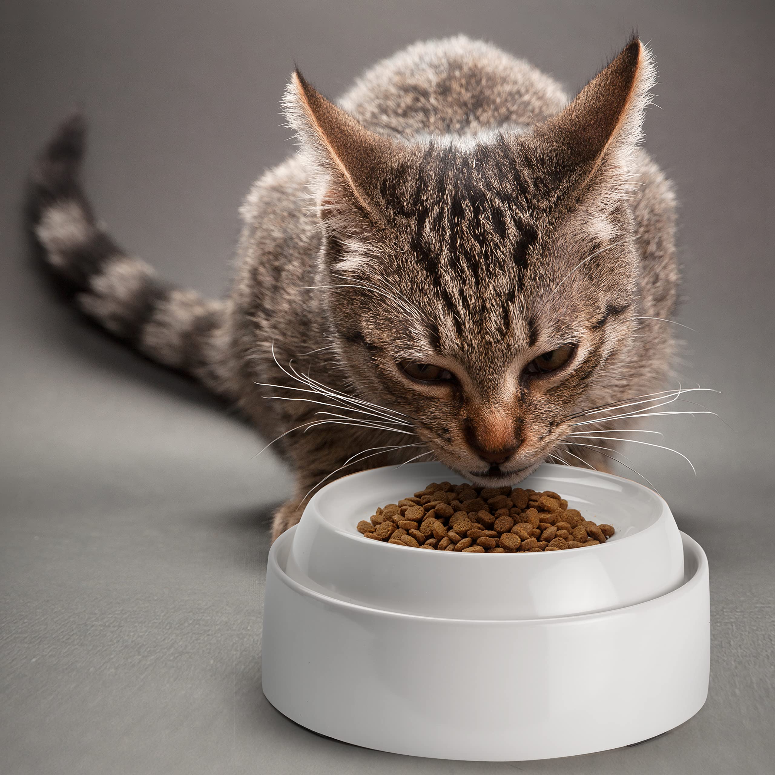 CatGuru apto para lavavajillas, limpieza rápida para dueños ocupados