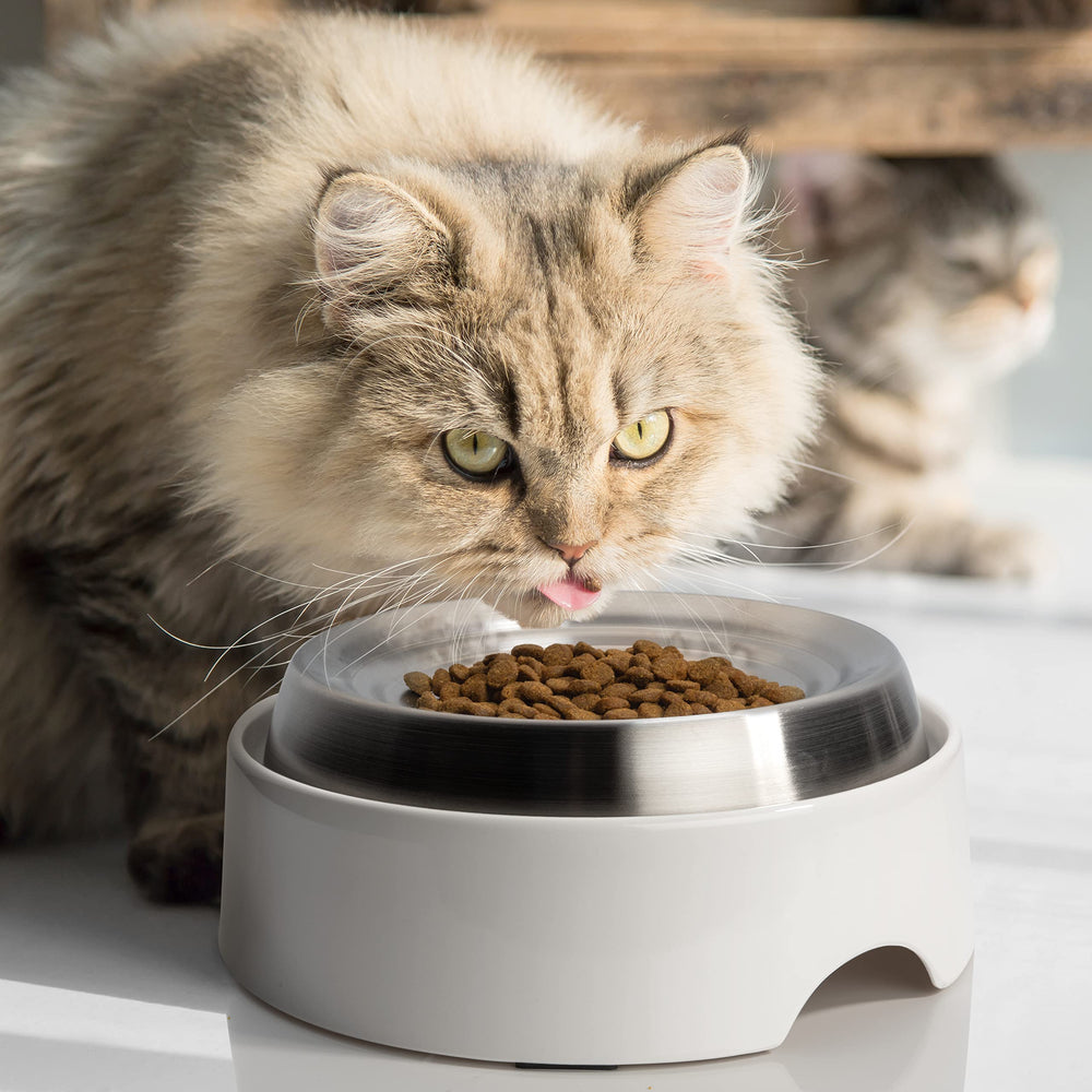 CatGuru bowl-lavable-lavavajillas, limpieza rápida y segura.