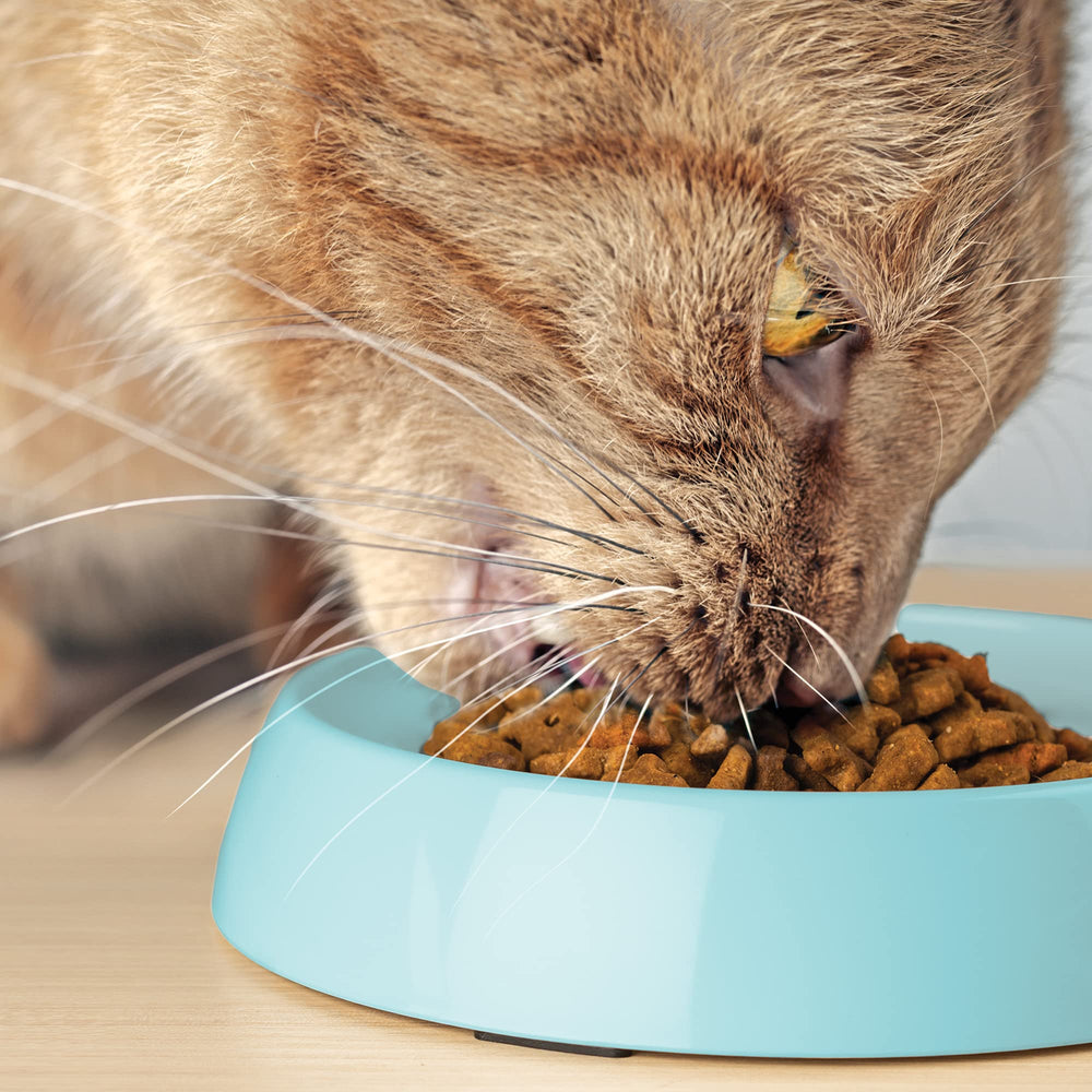 CatGuru diseño práctico con patas antideslizantes para evitar deslizamientos