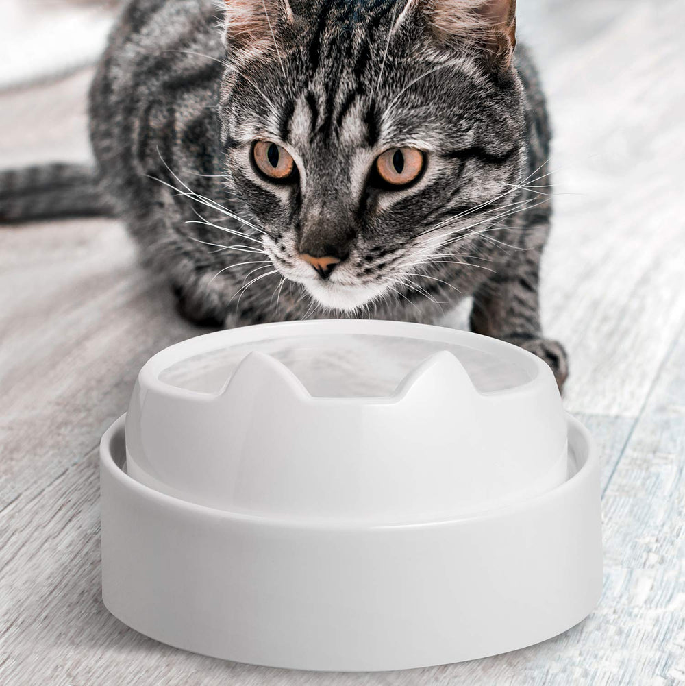 CatGuru diseño trasero alzado: borde elevado para contener derrames.