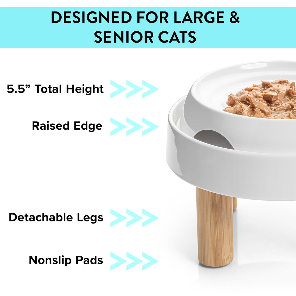 CatGuru Mesa estable para interiores de gatos