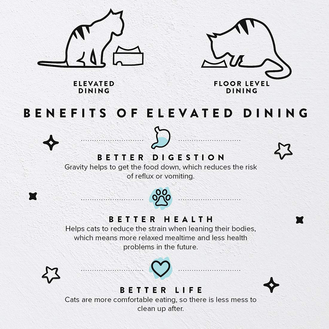 CatGuru mesa ergonómica mejora la postura de gatos durante la comida