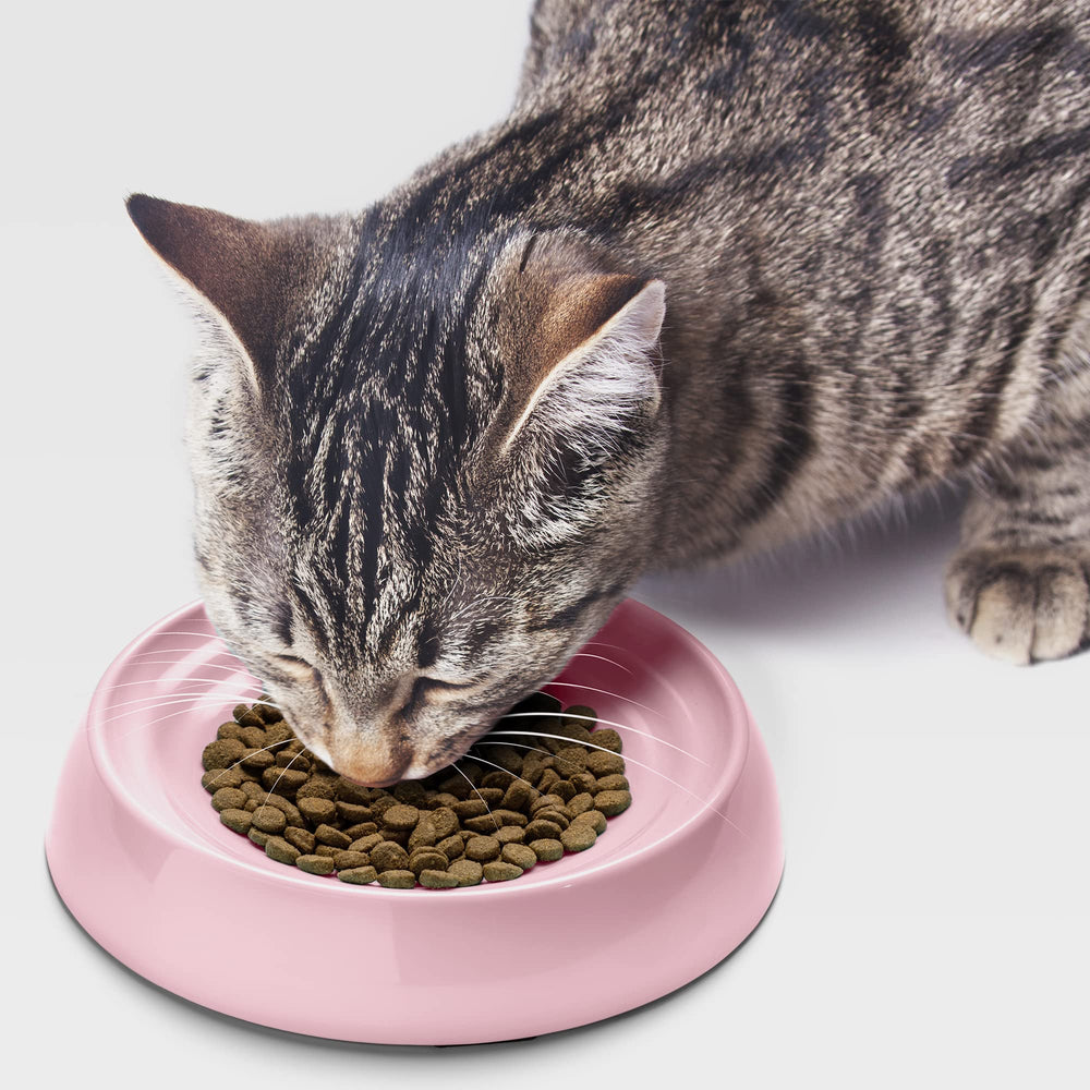 CatGuru tamaño cómodo 6,6 x 6,6 pulgadas para porciones adecuadas.