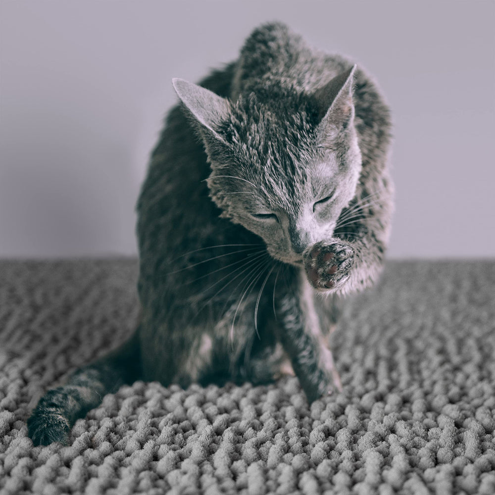 CatGuru: tamaño extragrande 36x28 pulgadas para cubrir más área.