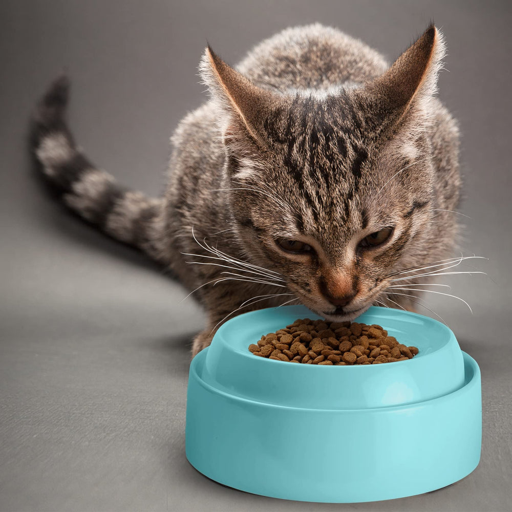 CatGuru tazón 5 oz facilita porciones controladas