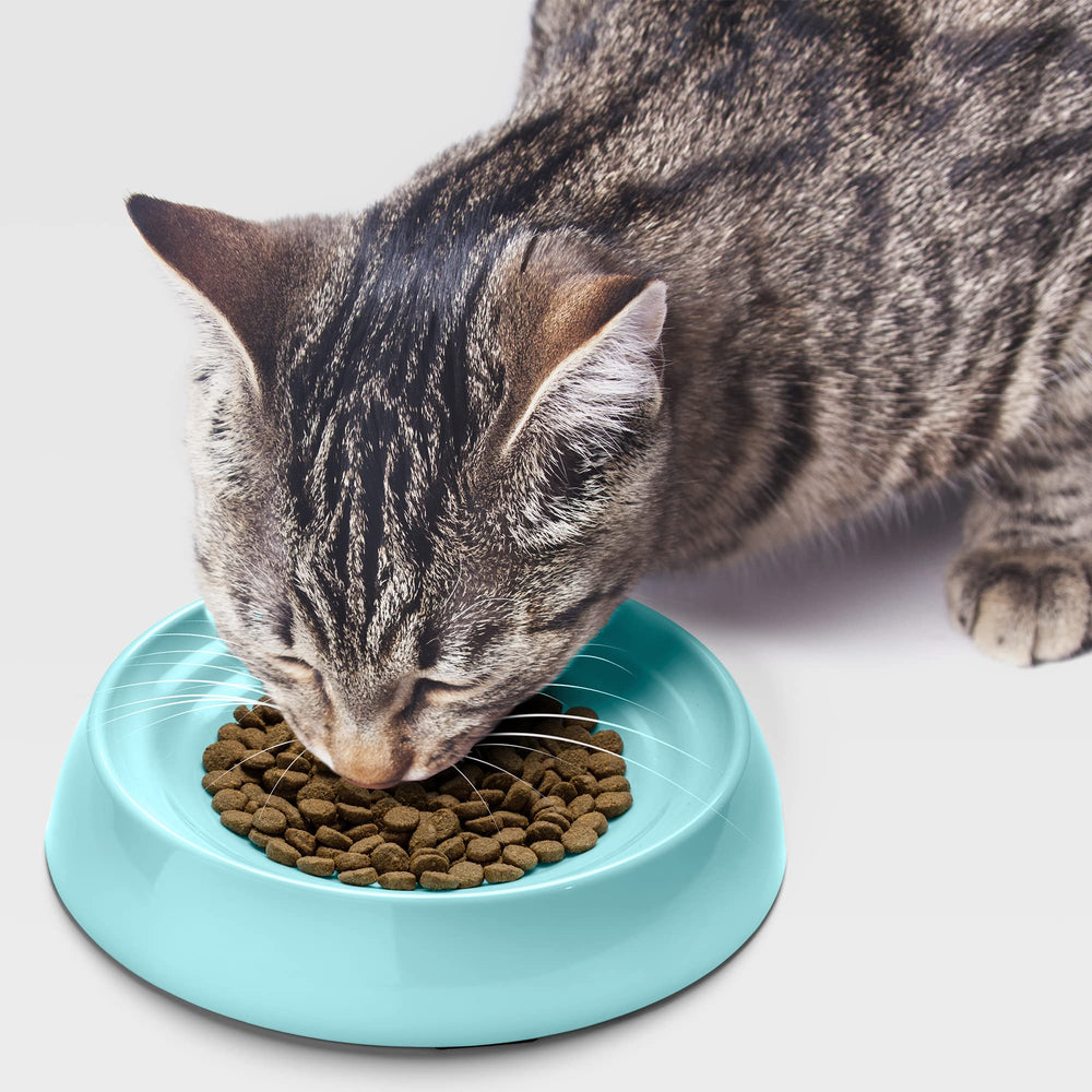 CatGuru tazón apto lavavajillas facilita limpieza