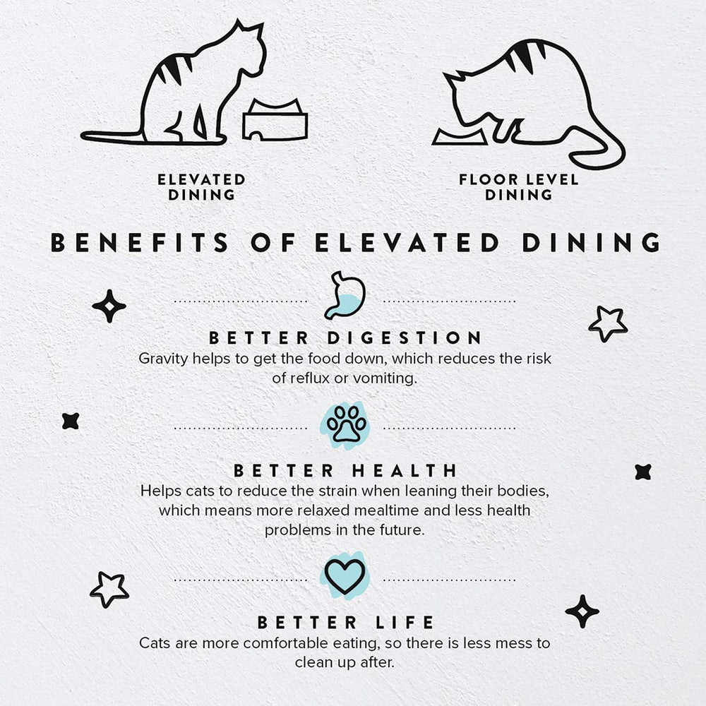 CatGuru Tazones Elevados facilita la ingesta y reduce salpicaduras