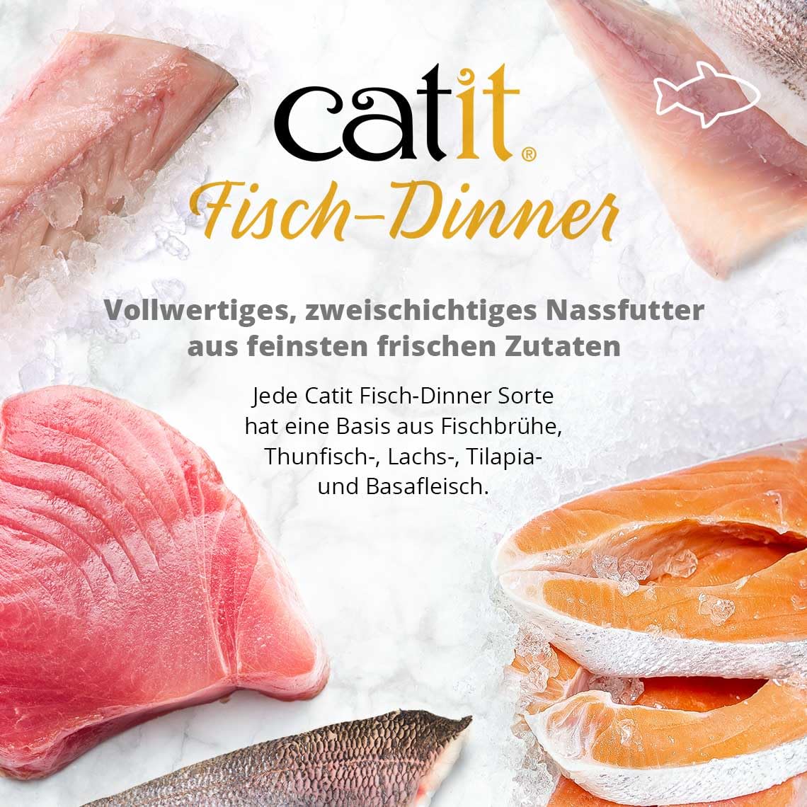 Catit variedad con salmón y judías verdes, opción sabrosa sin rellenos artificiales.