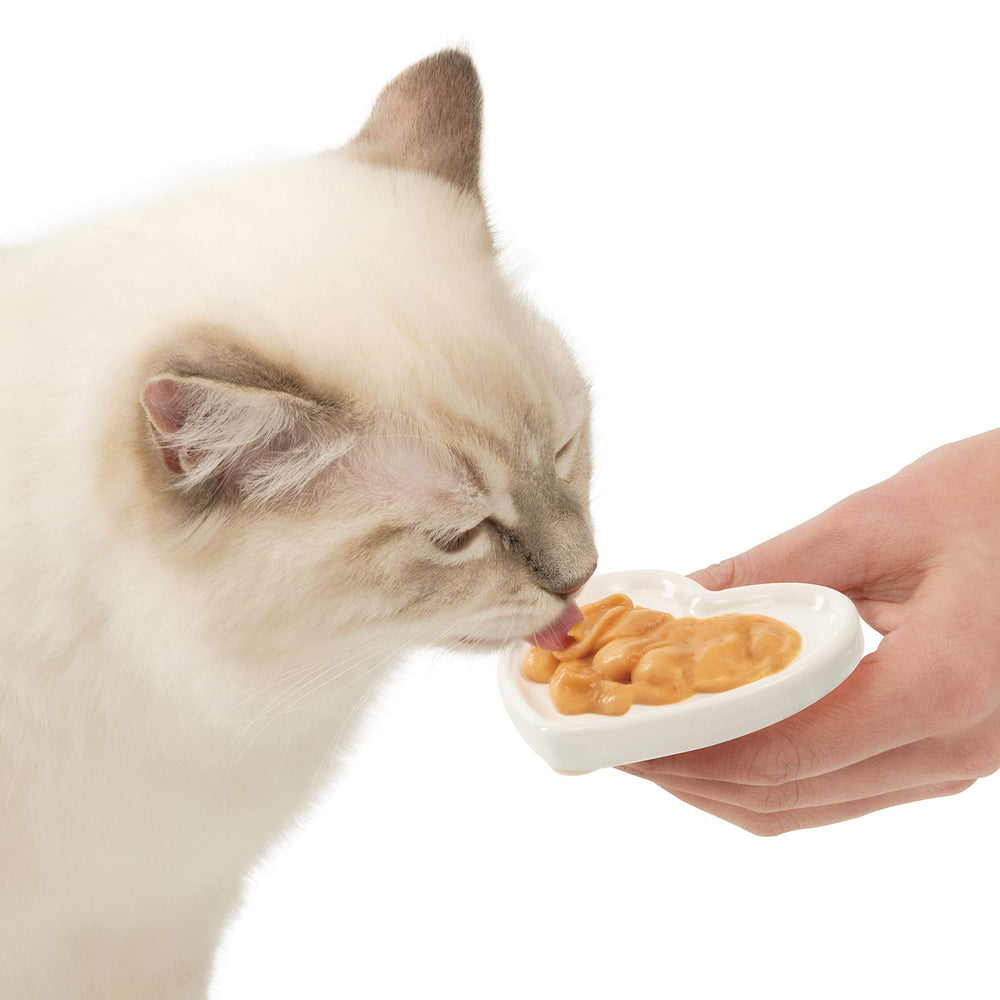 Catit Creamy envase práctico con porciones individuales.