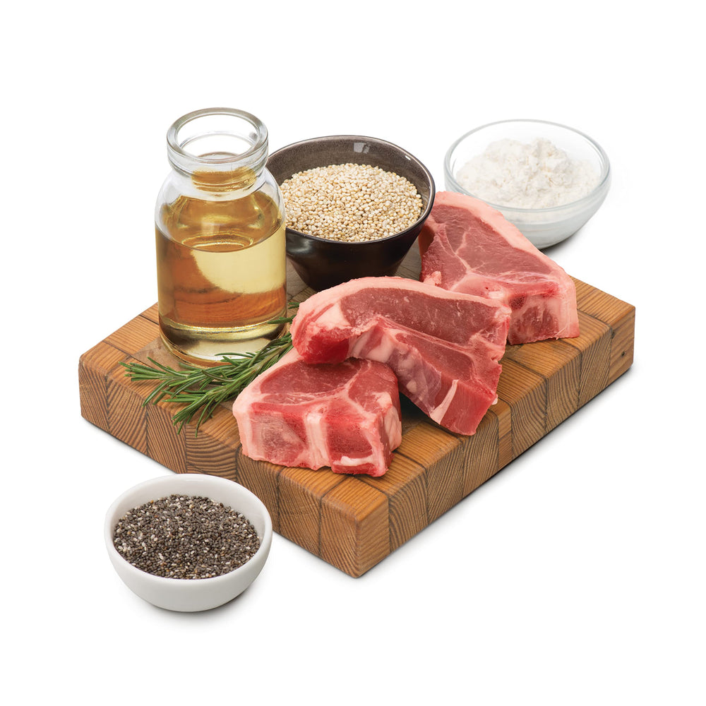 Catit Creamy Superfoods servir en plato, variación sabrosa y saludable para gatos