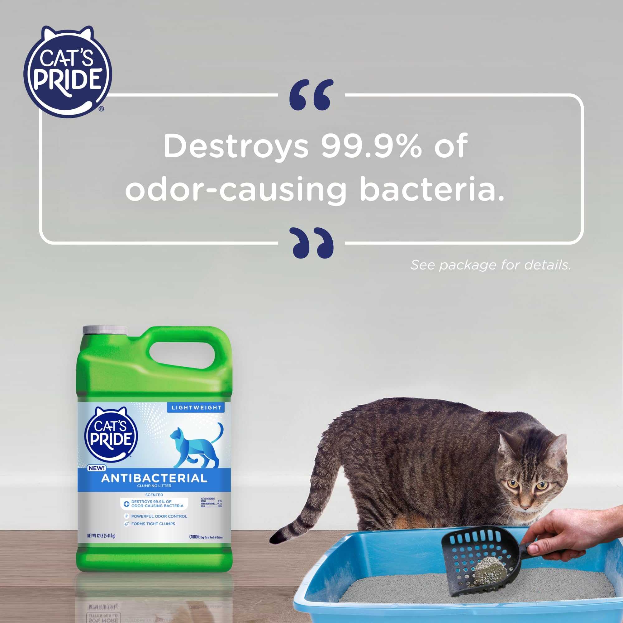Cat's Pride: apoya refugios de animales con donaciones de arena