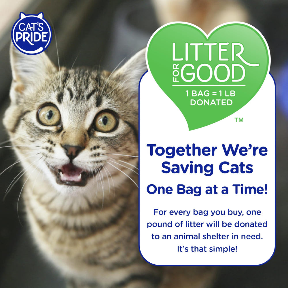 Cat's Pride fragancia sutil para hogar agradable
