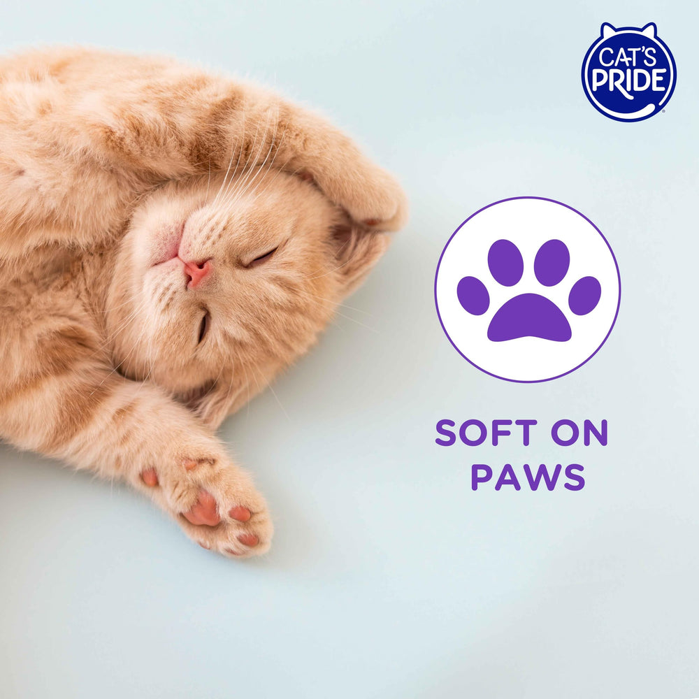 Cat's Pride: olor fresco que dura, ideal para uso diario.