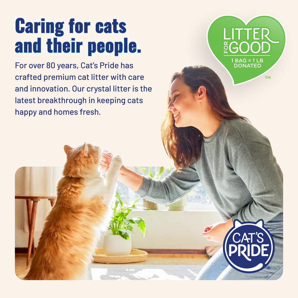 Cat's Pride: textura suave tipo arena cuida las patas sensibles.
