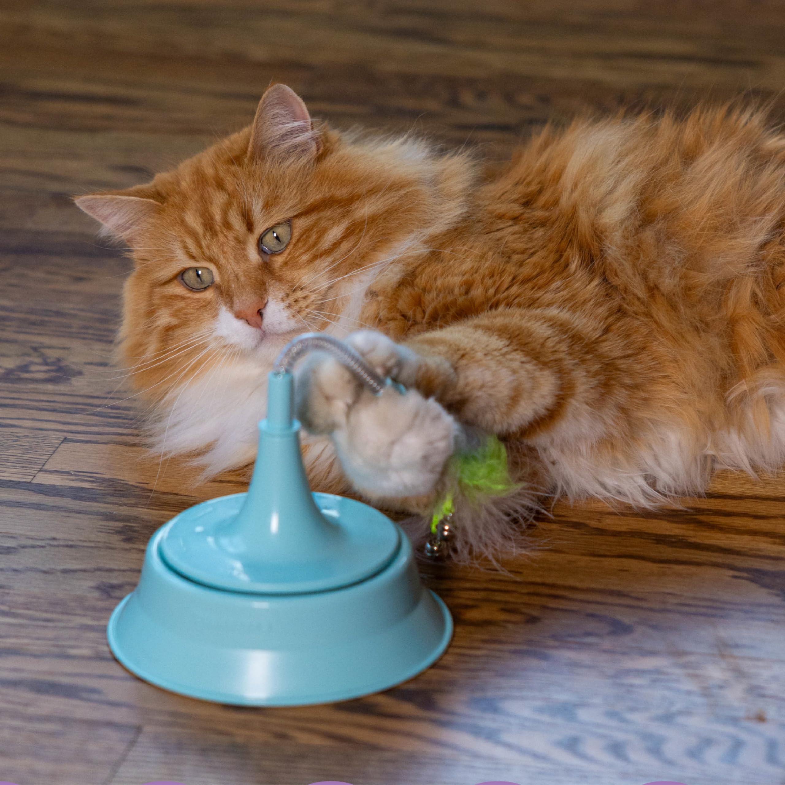 Catstages 2-en-1 Spring Teaser: actividad compartida para varios gatos