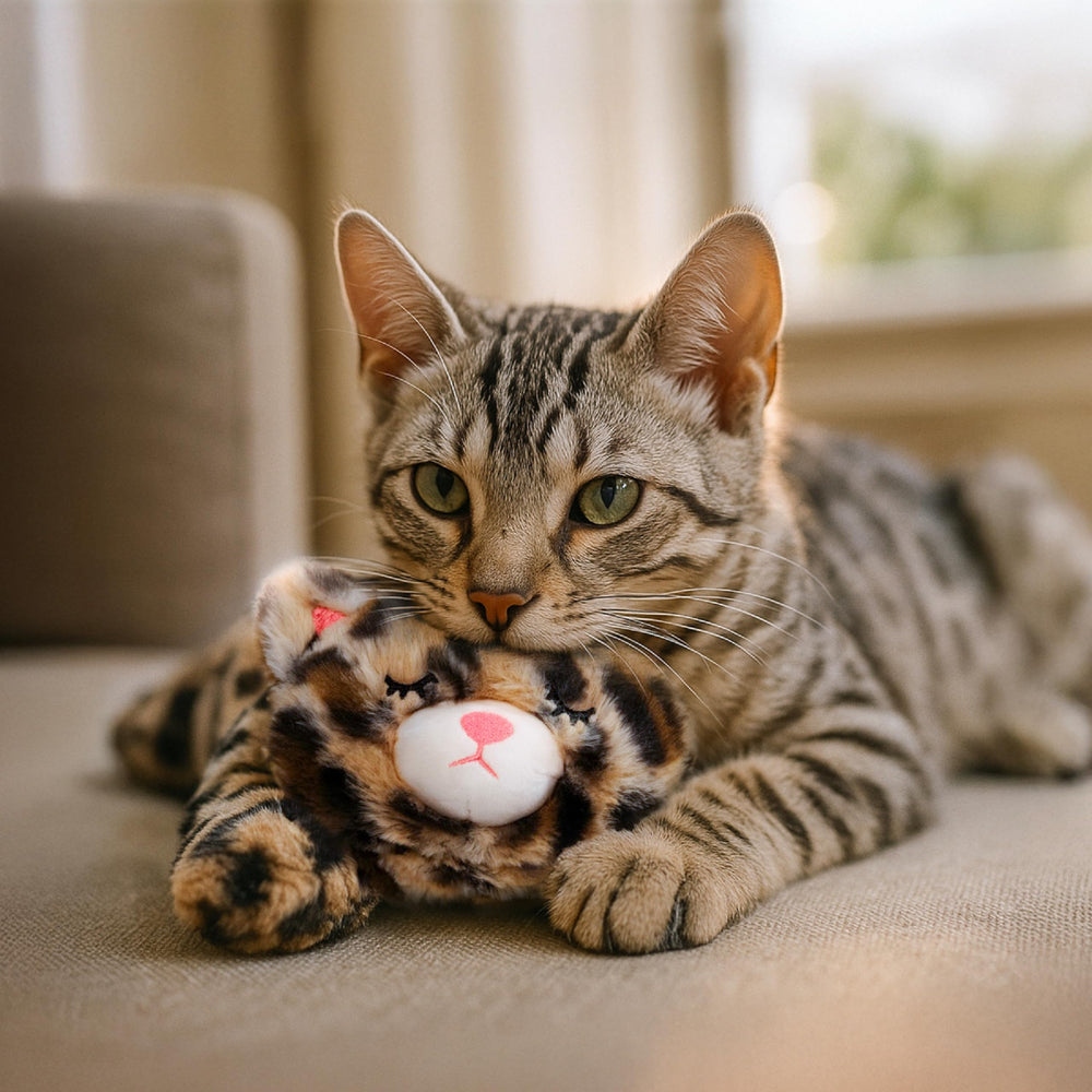 Catstages Calming Kitty Pal, ideal para gatitos y gatos rescatados buscando compañía.