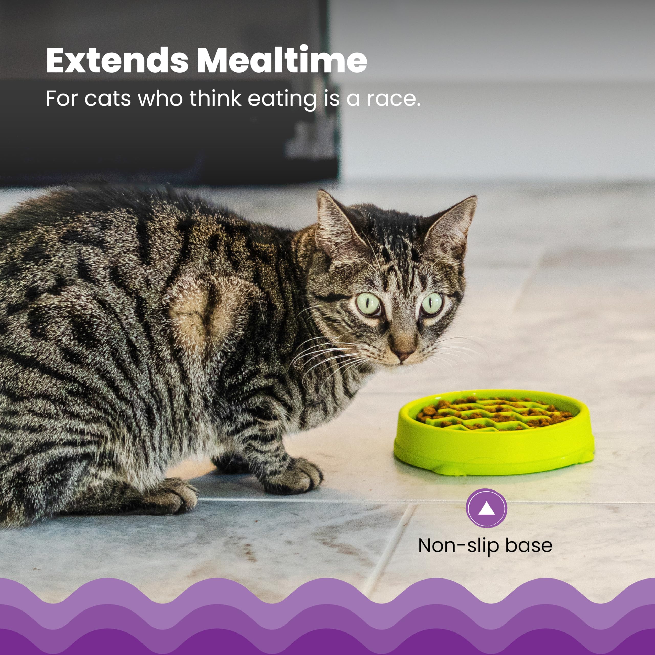 Catstages Kitty Slow Feeder, capacidad 3-4 tazas, ideal para porciones y premios.