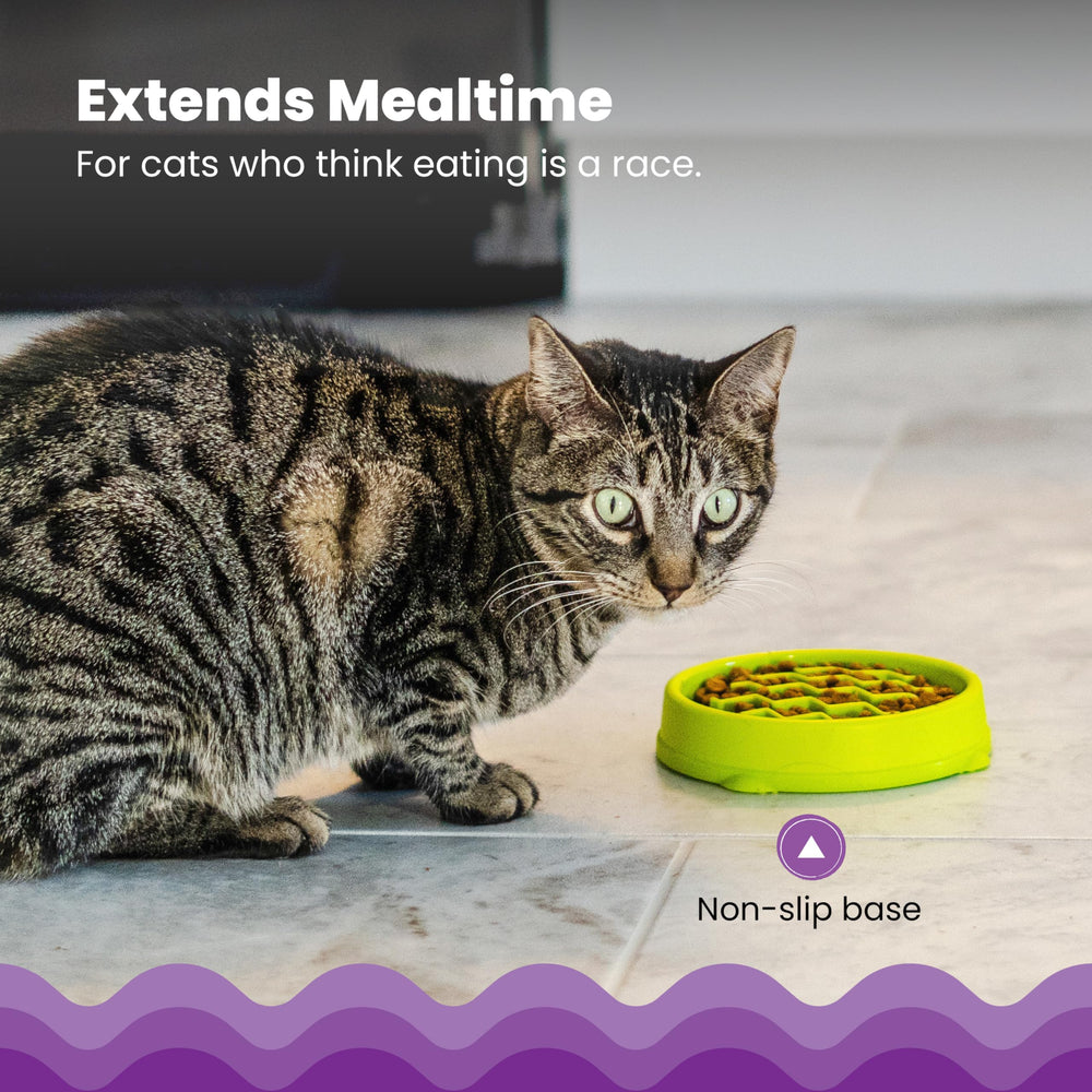 Catstages Kitty Slow Feeder, capacidad 3-4 tazas, ideal para porciones y premios.
