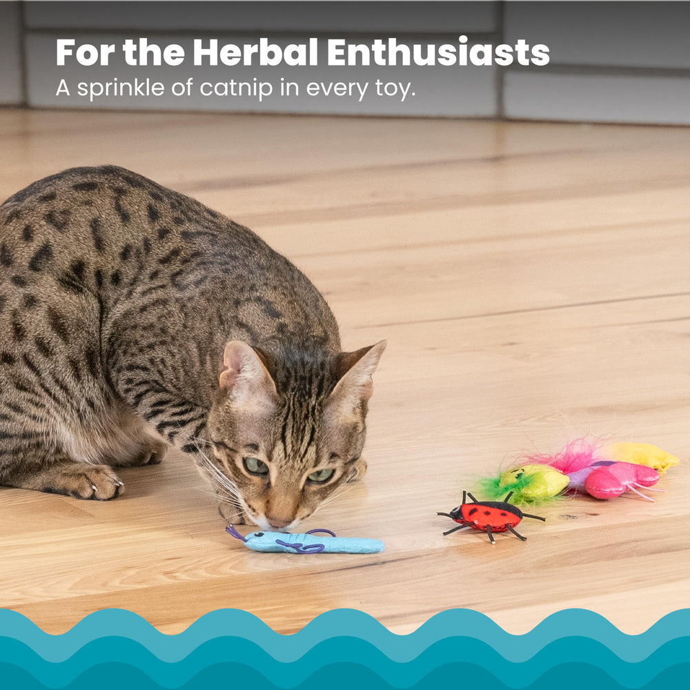 Catstages Cute as a Bug: juguetes con crinkle para atraer la atención del felino.