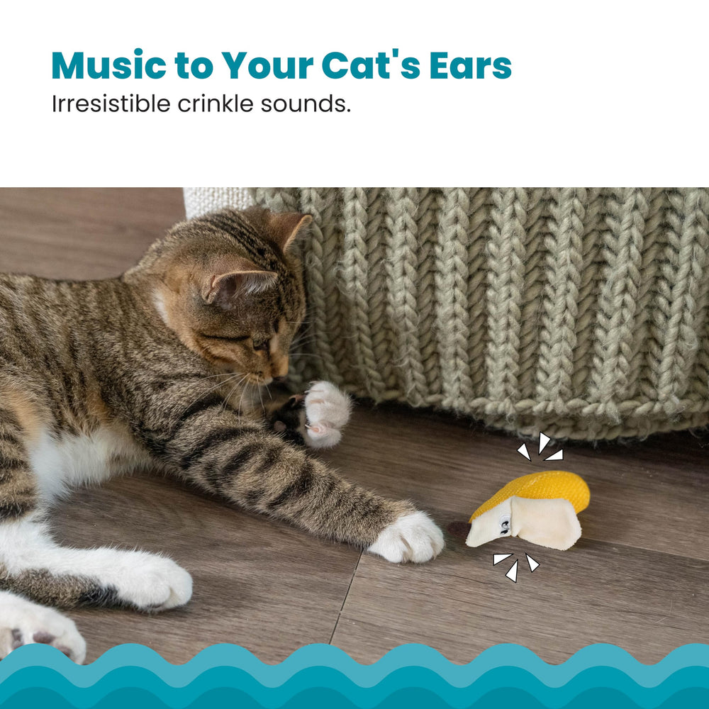 Catstages Dental Banana Hierba Gatera: relleno aromático para energía y curiosidad.