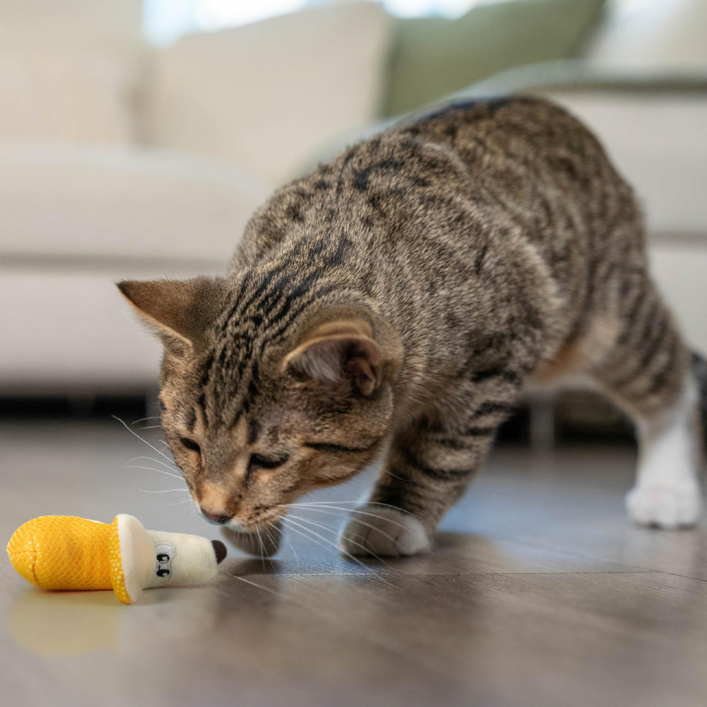 Catstages Dental Banana Uso Diario: diseño apto para juego diario en casa.