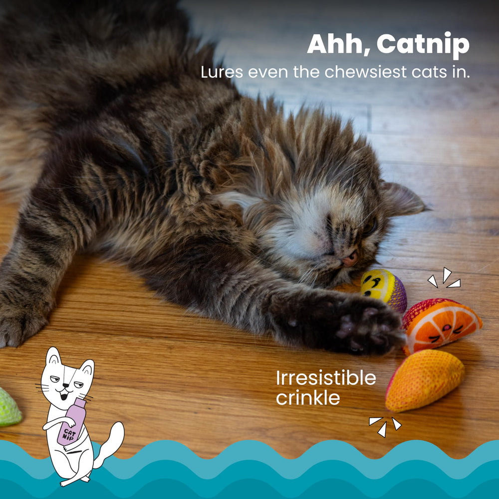 Catstages cuñas dentales fruta con hierba gatera para juego activo.