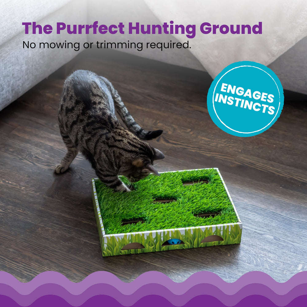 Catstages Grass Patch Hunting Box aperturas para patas que invitan a cazar