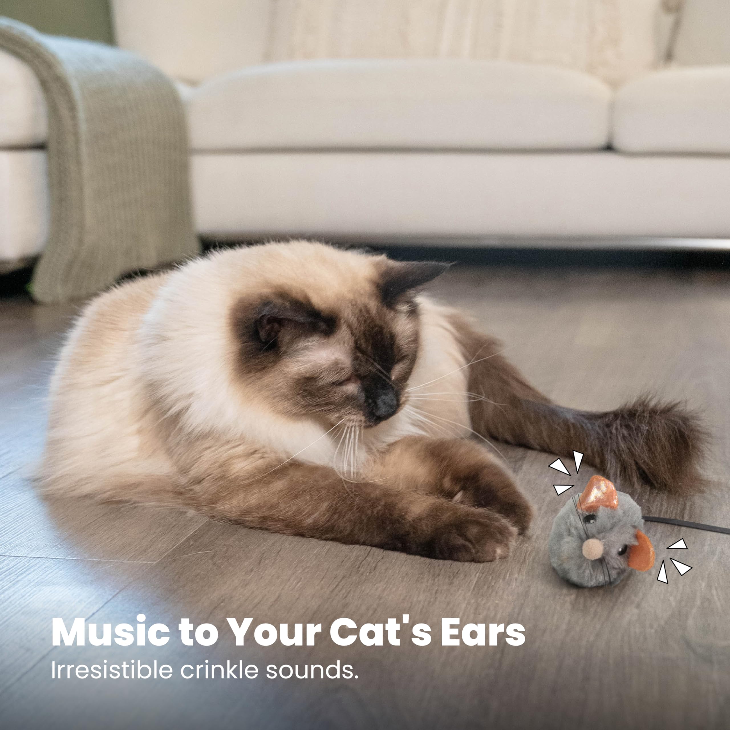Catstages Ratón: ideal para interiores y sesiones cortas.