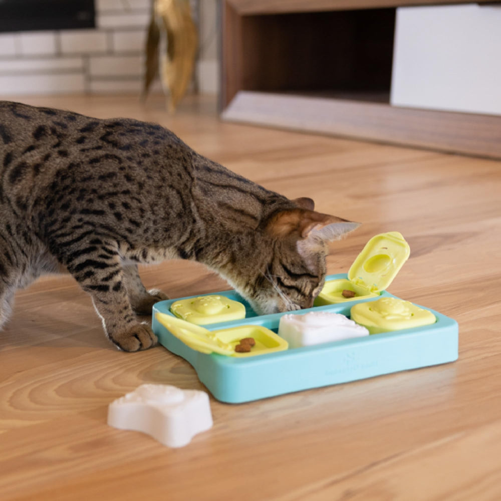 Catstages Kitty Cube: enriquecimiento diario para gatos