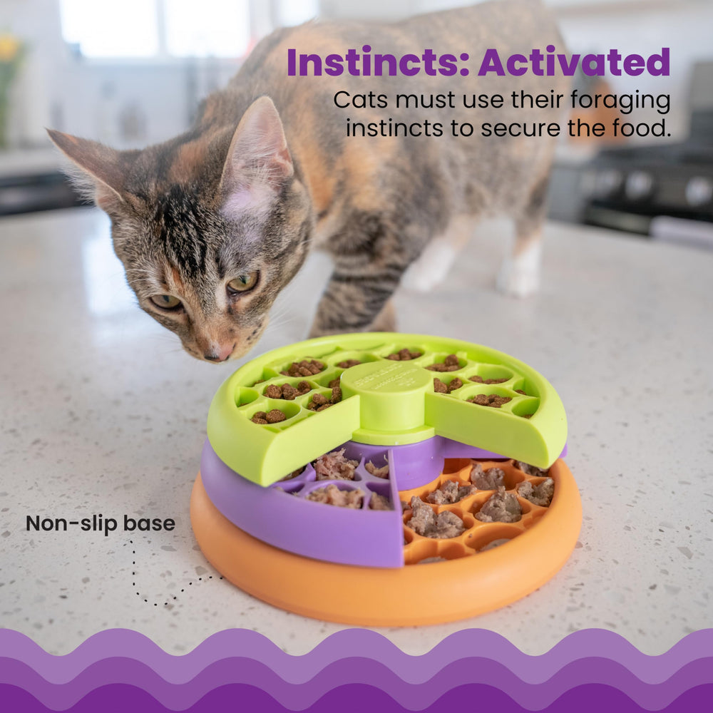 Catstages Kitty Lickin' Layers apto para comida seca y ralentizar ingesta