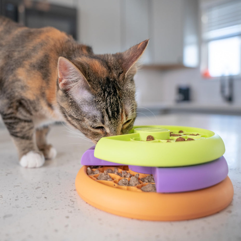 Catstages Kitty Lickin' Layers diseño detallado y fácil de usar durante la comida