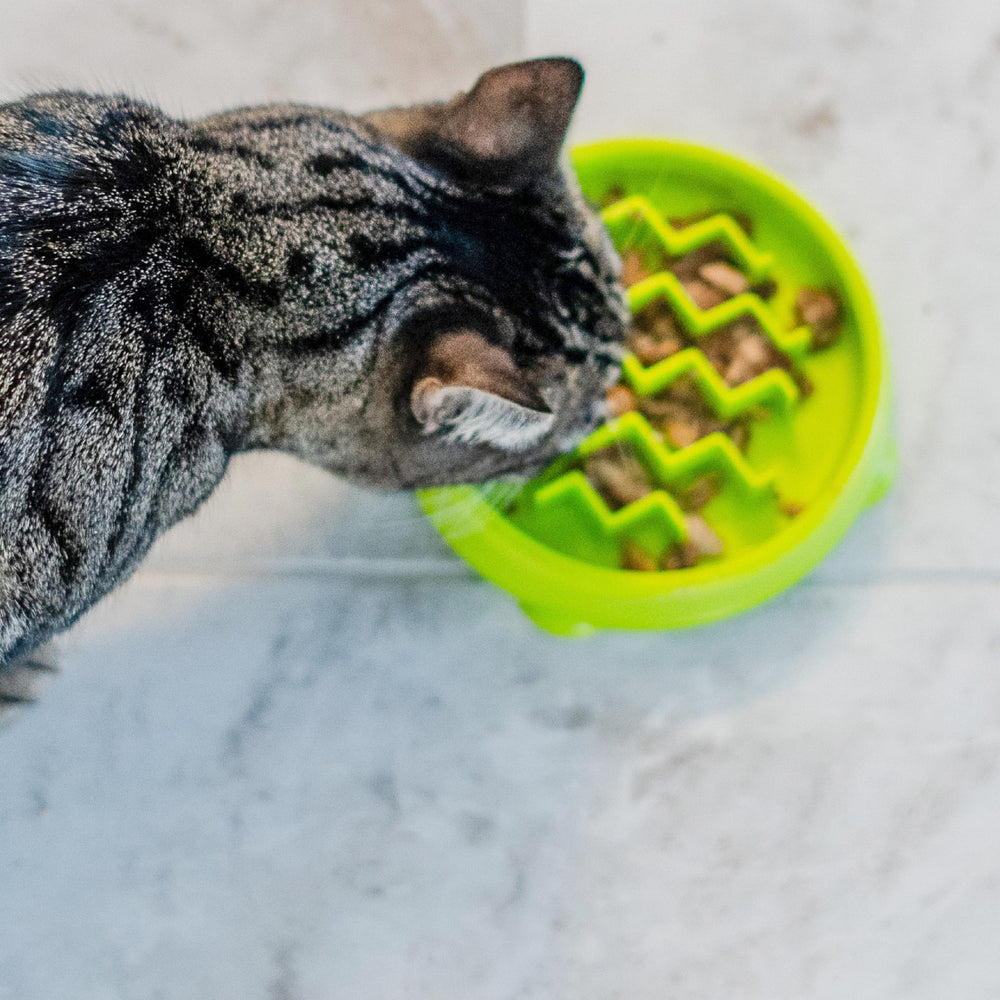 Catstages Kitty Slow Feeder, apto para lavavajillas en rejilla superior, limpieza fácil.