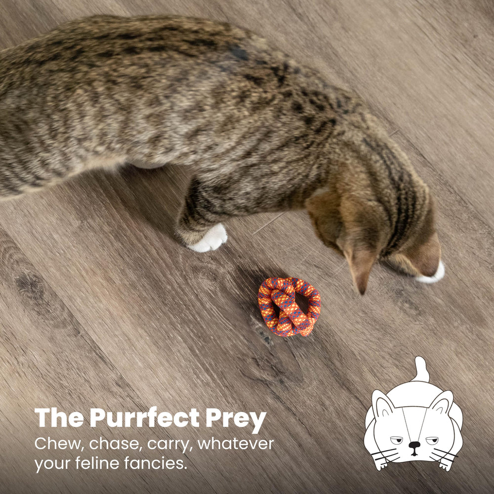 Catstages Plaque Away Pretzel, lleno de hierba gatera para mayor motivación.