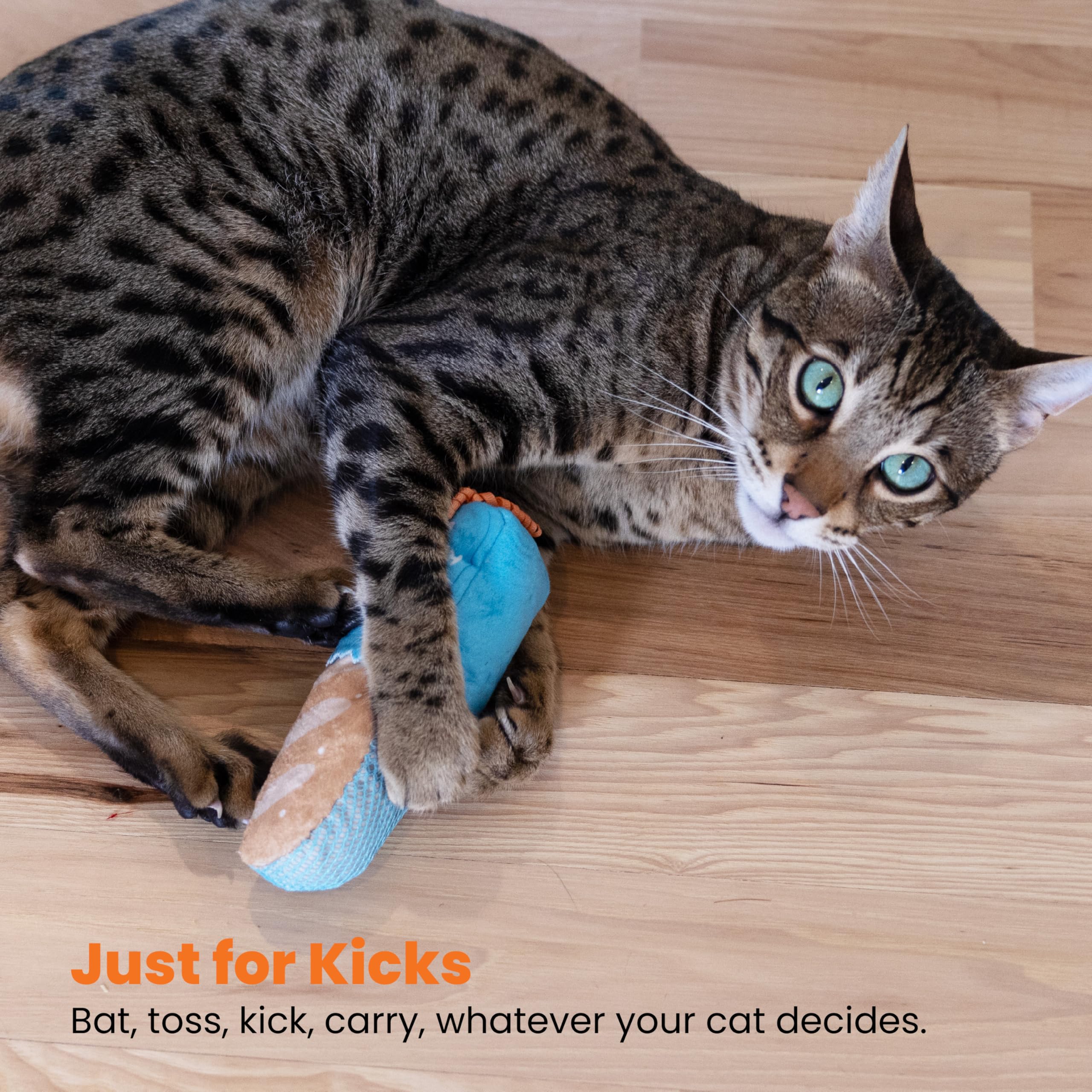 Catstages Loaf Kicker es ligero y fácil de llevar entre zonas de juego