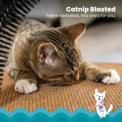 Catstages menta felina seca, atractiva para que el gato juegue y se acicale.