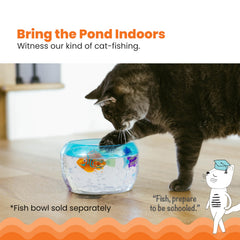 Catstages Meow-smerizing Fish luz-encendida que invita a golpear y perseguir