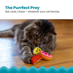 Catstages mordedor suave para gatos, ideal para dentición temprana.