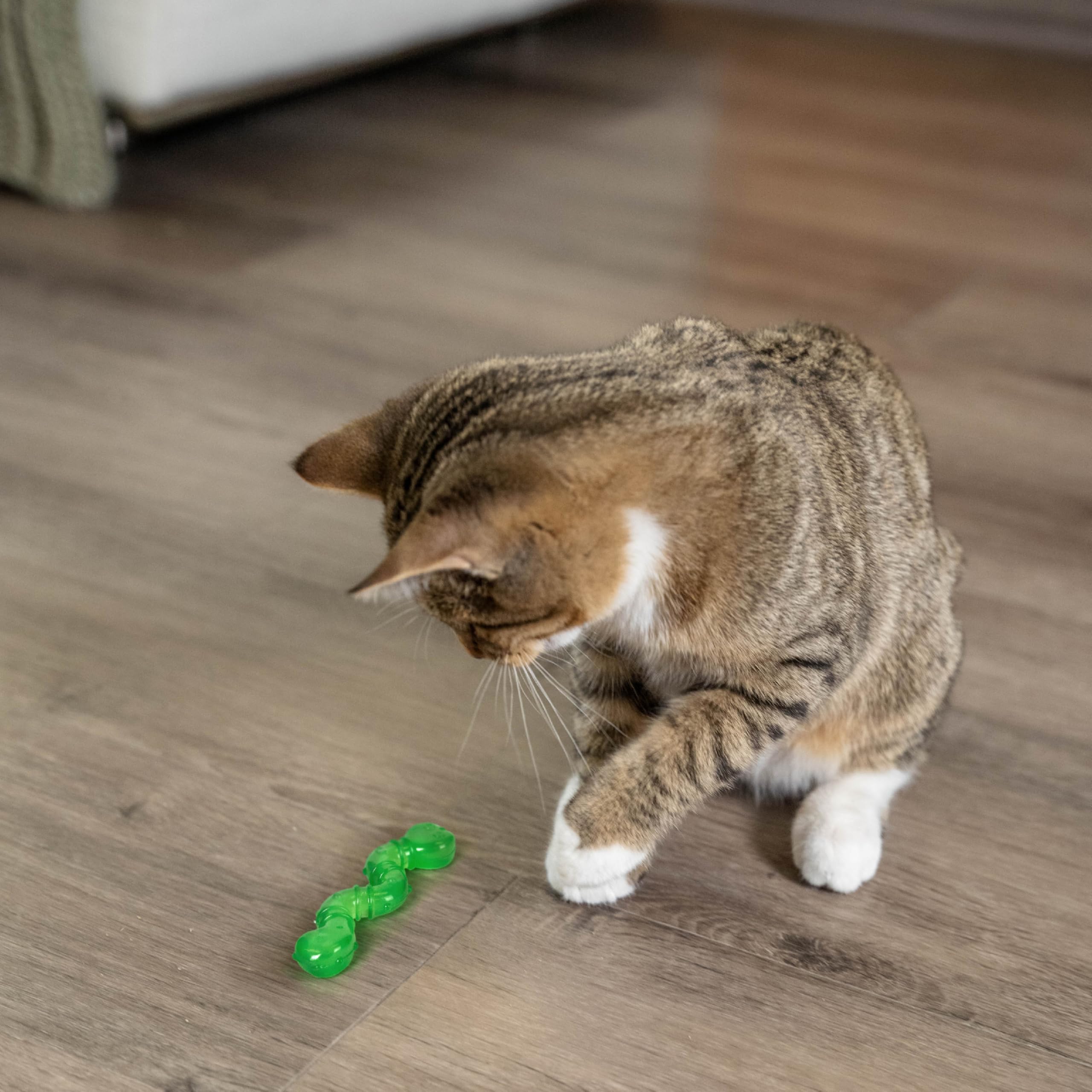 Diseño ligero para mantener al gato entretenido y activo
