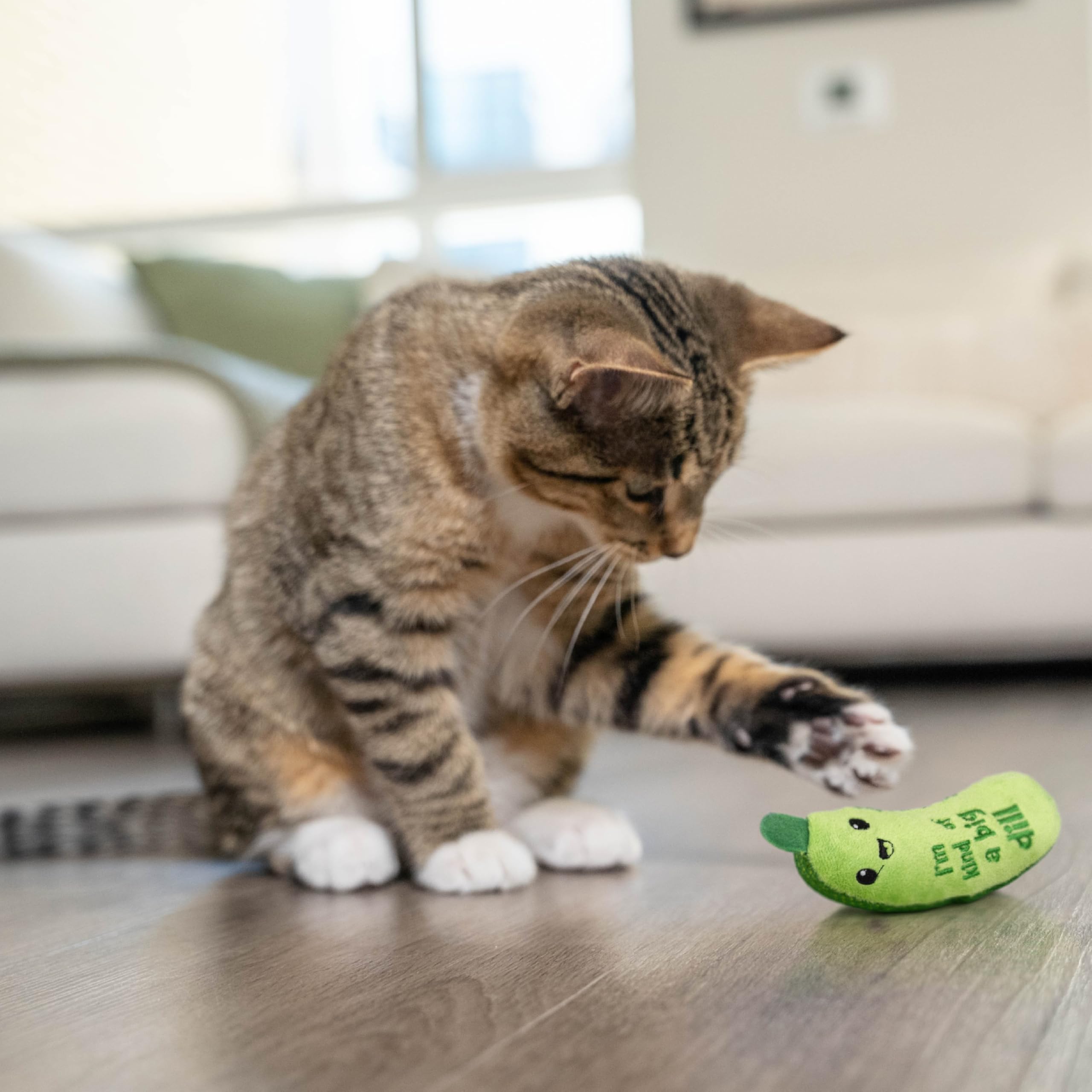 Catstages uso dental suave: malla texturizada durante juego
