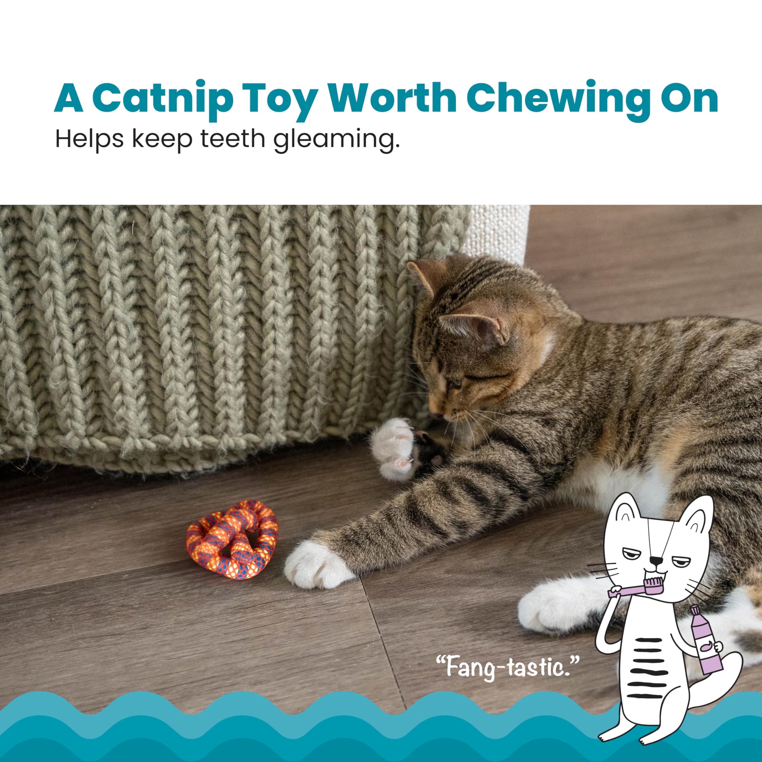Catstages Plaque Away Pretzel, malla dental e hierba gatera para motivar morder.