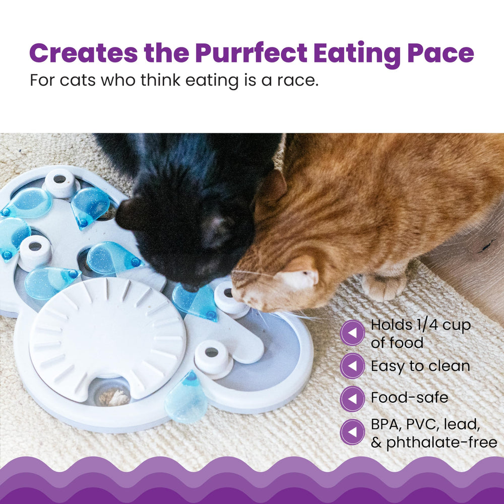 Catstages Rainy Day Puzzle: compartimentos de comida para comer despacio