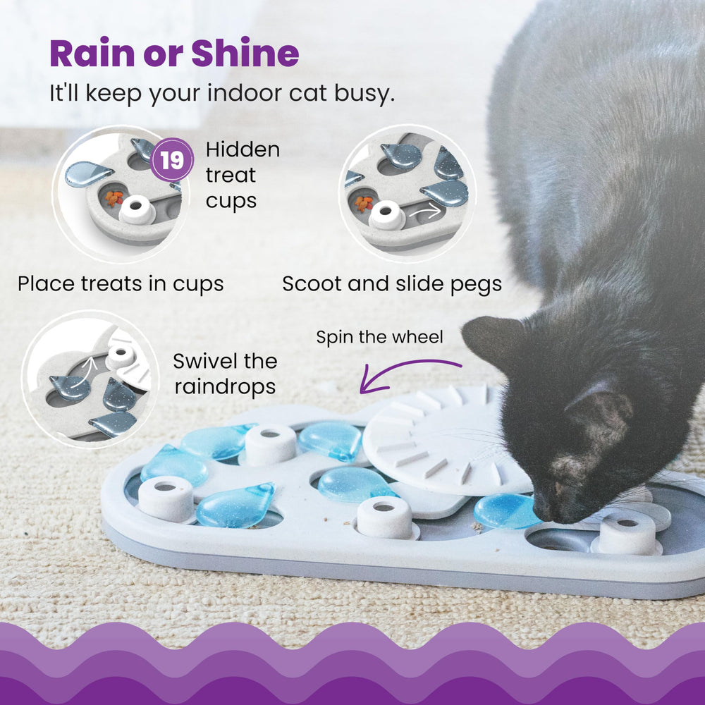 Catstages Rainy Day Puzzle: rueda que gira para encontrar golosinas