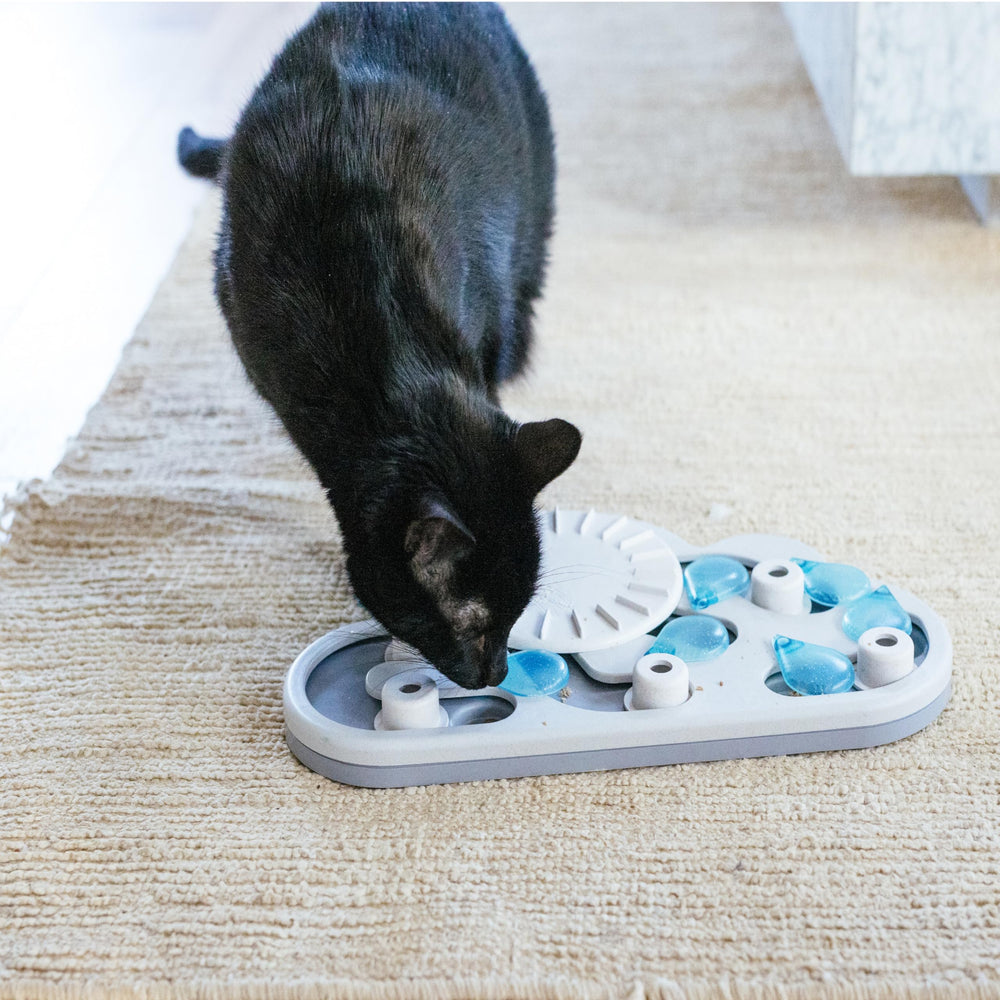 Catstages Rainy Day Puzzle: ideal para juego en interior y enriquecimiento