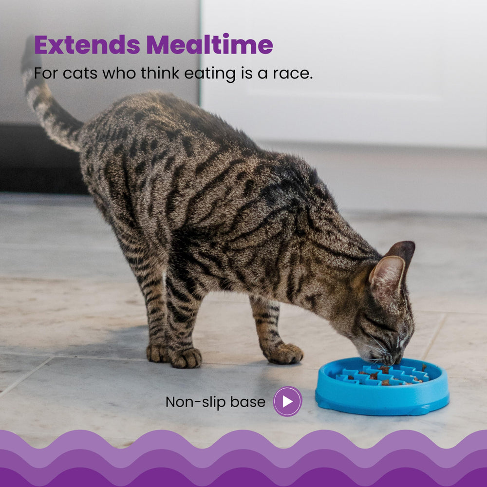 Catstages Kitty Slow Feeder con capacidad de ¾ taza para comida húmeda o seca